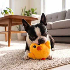 Spring Snuzzles Kiddos Chick