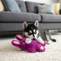 Snuzzles Bunny