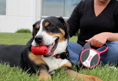 KONG Retractable Leash Explore Red