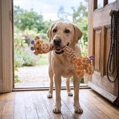 Knots Twists Giraffe