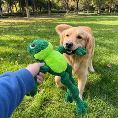Knots Frog